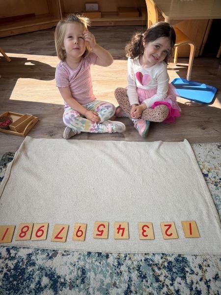 image_processing20250616-2-nk6zah