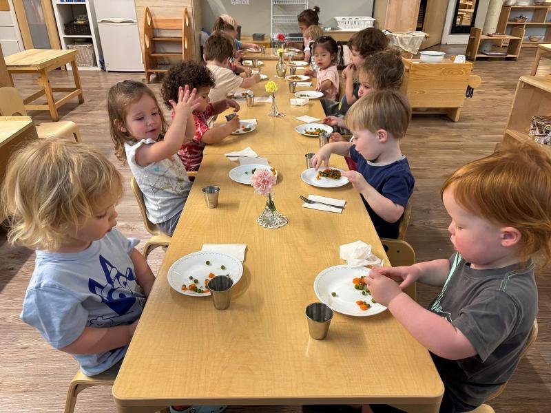 image_processing20250709-2-55xk5f