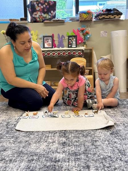 image_processing20250627-2-e4nzsb