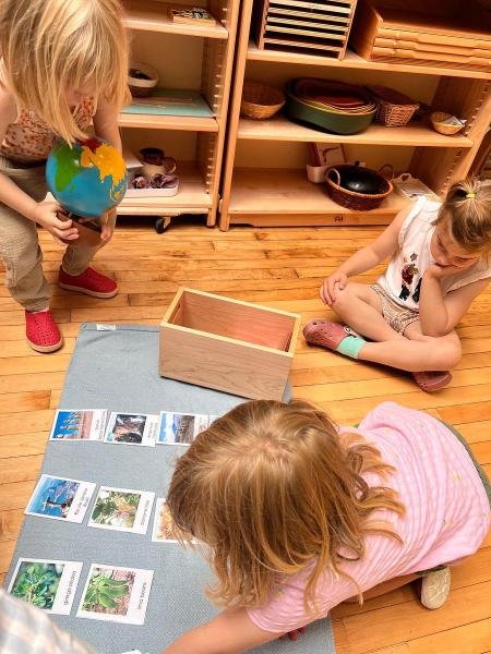 image_processing20250711-2-2xanwh