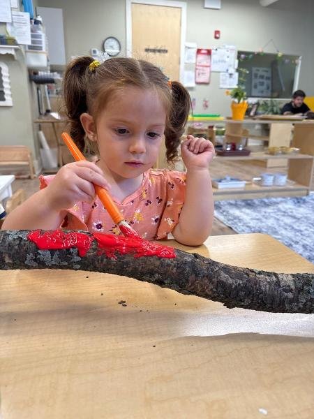 image_processing20250619-2-7wzhyw