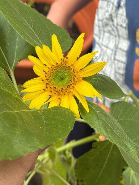 image_processing20250821-2-2a07sh