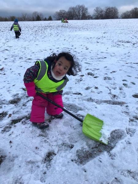 image_processing20241221-2-4mnl8u